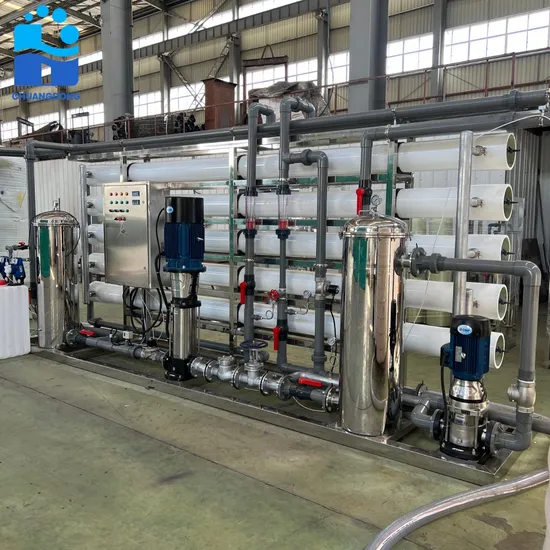  10m3pH Automatic Backwashing Water Treatment Plant with Integrated RO System for Industrial and Agricultural